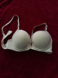 TELLİ DOLGUSUZ C CUP TEN